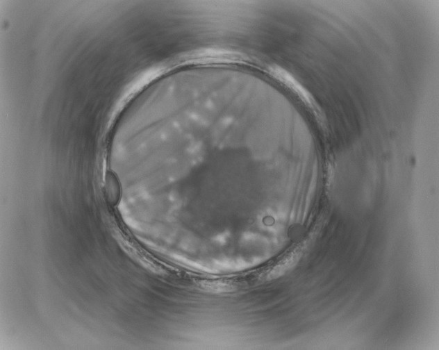 X0000085821413200704132000