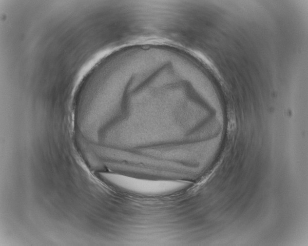 X0000085821414200704132000