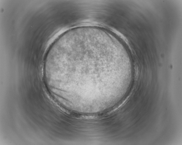 X0000085821415200704132000
