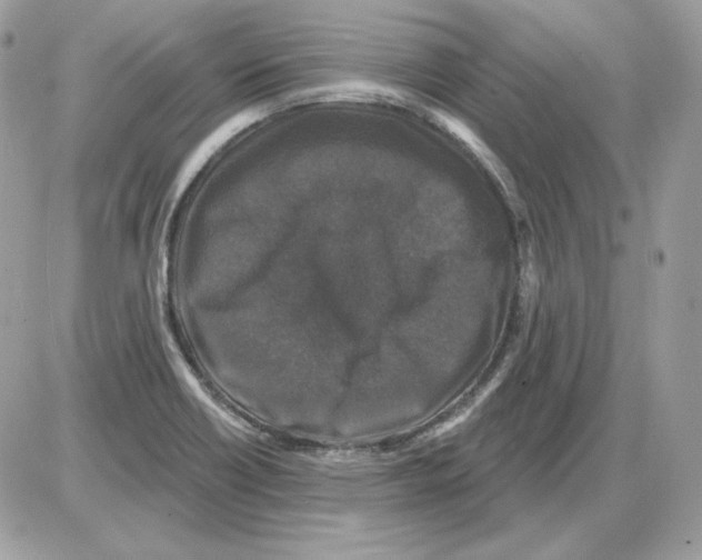 X0000085821418200704132000