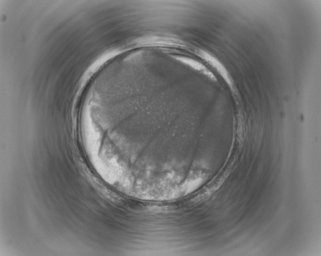 X0000085821419200704132000
