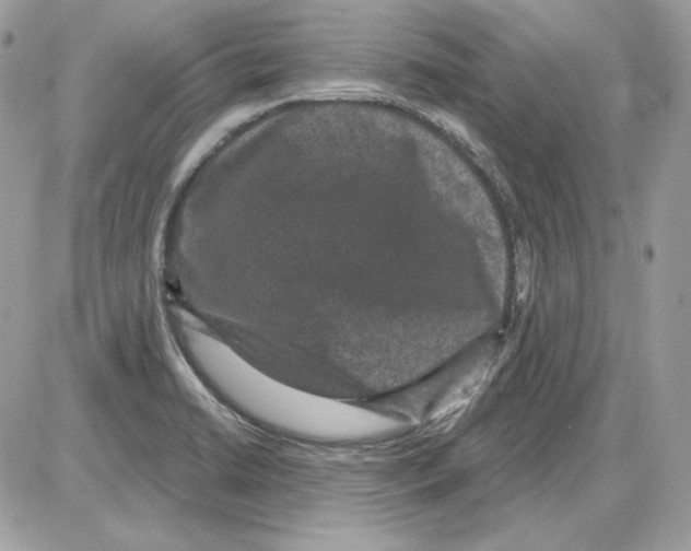 X0000085821422200704132000