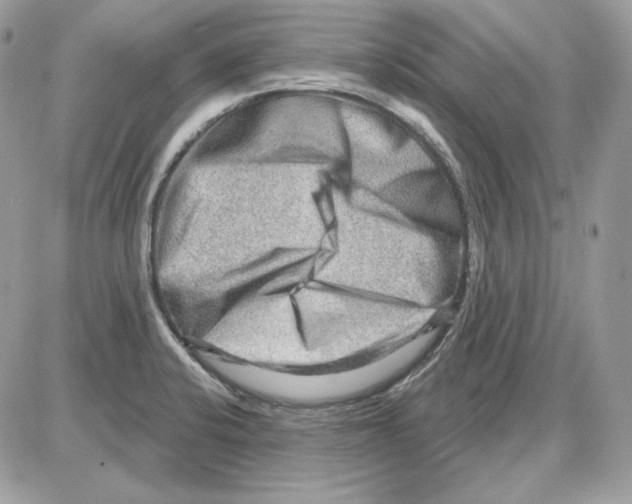 X0000085821424200704132000