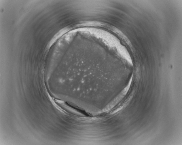 X0000085821425200704132000
