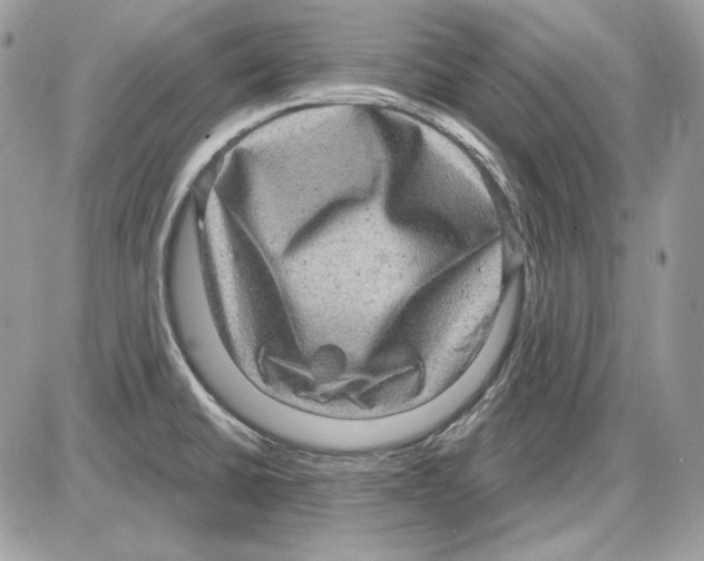 X0000085821430200704132000