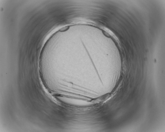 X0000085821431200704132000