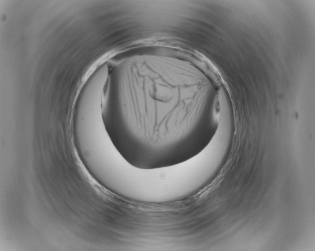 X0000085821434200704132000