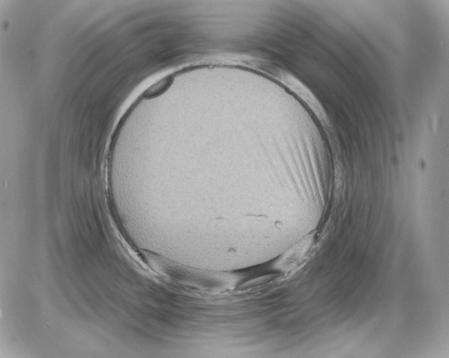 X0000085821436200704132001