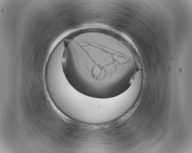 X0000085821438200704132001