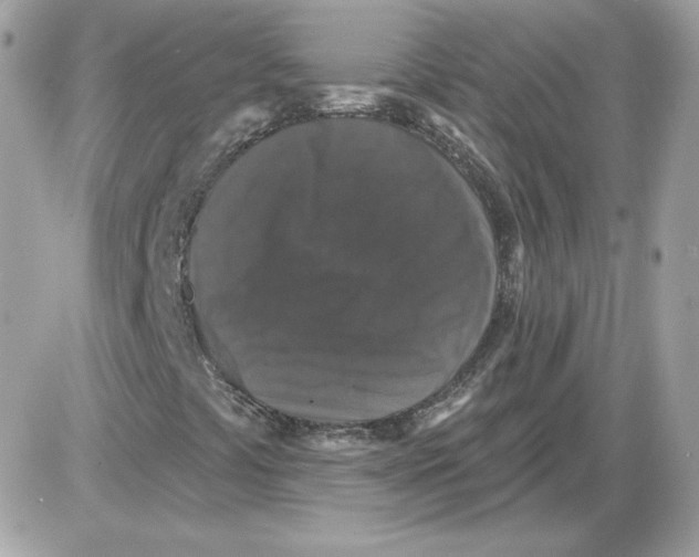 X0000085821441200704132000