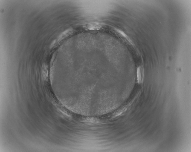 X0000085821443200704132000