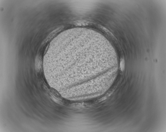 X0000085821444200704132000