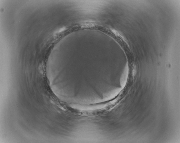 X0000085821445200704132000