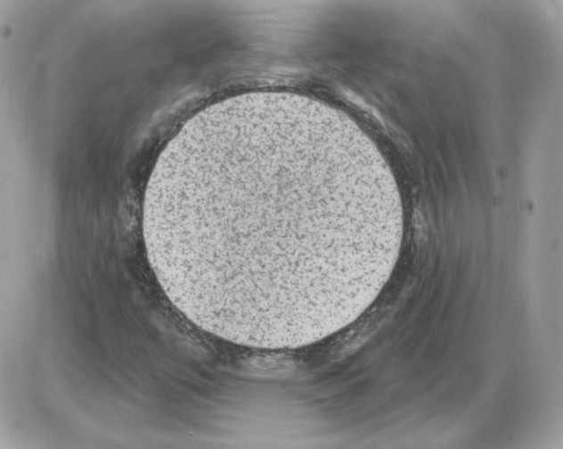 X0000085821447200704132000