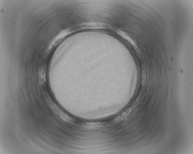 X0000085821451200704132000