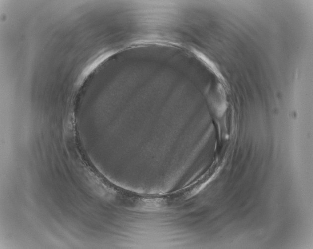 X0000085821453200704132000