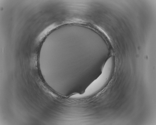 X0000085821455200704132000