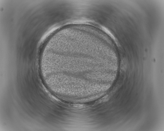 X0000085821456200704132000