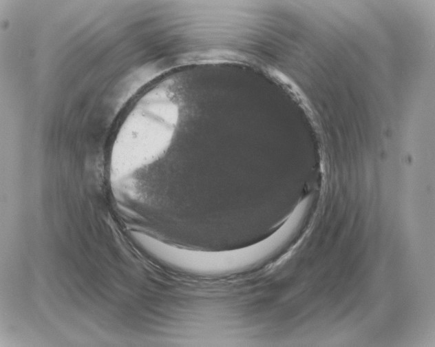 X0000085821457200704132000