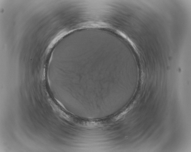 X0000085821459200704132000