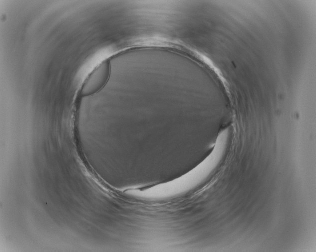 X0000085821463200704131959