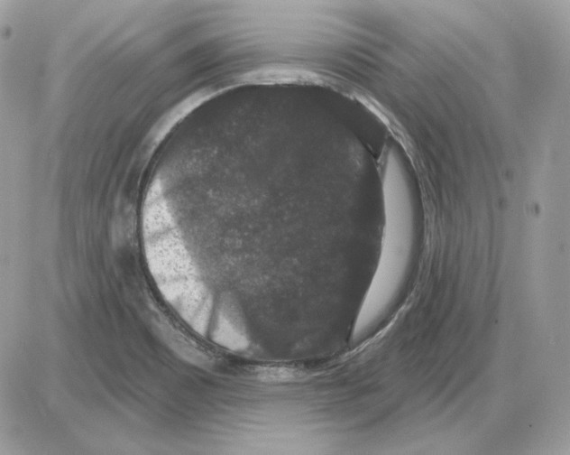 X0000085821465200704131959
