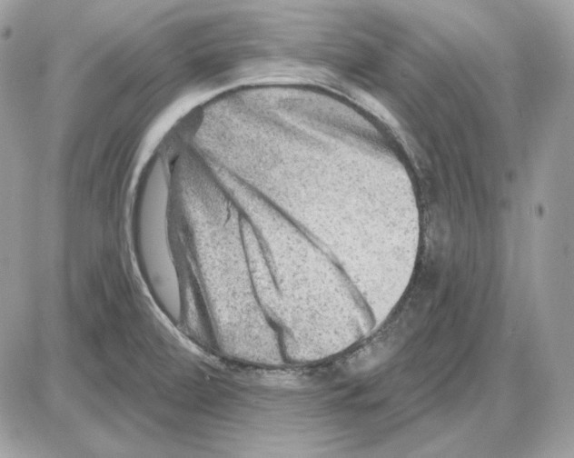 X0000085821472200704131959