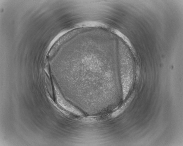 X0000085821473200704131959
