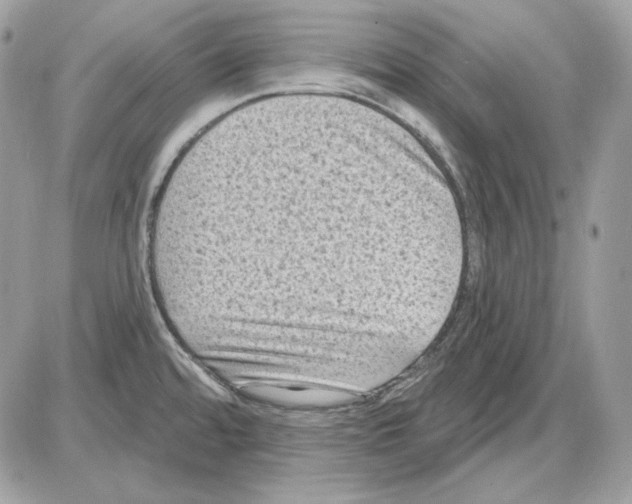 X0000085821480200704131959