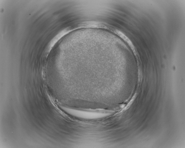 X0000085821481200704131959