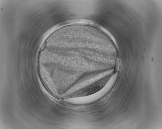 X0000085821483200704131959