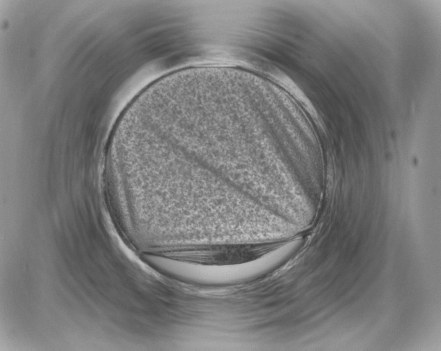 X0000085821484200704131959