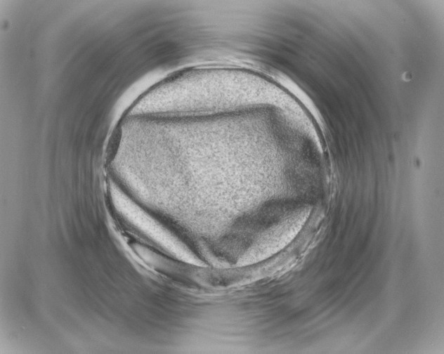X0000085821485200704131959