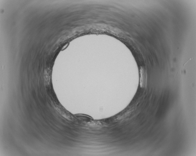 X0000085821491200704131958