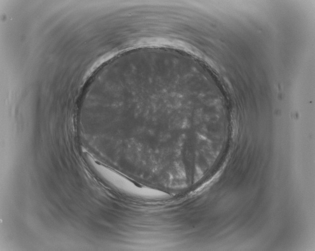 X0000085821497200704131958