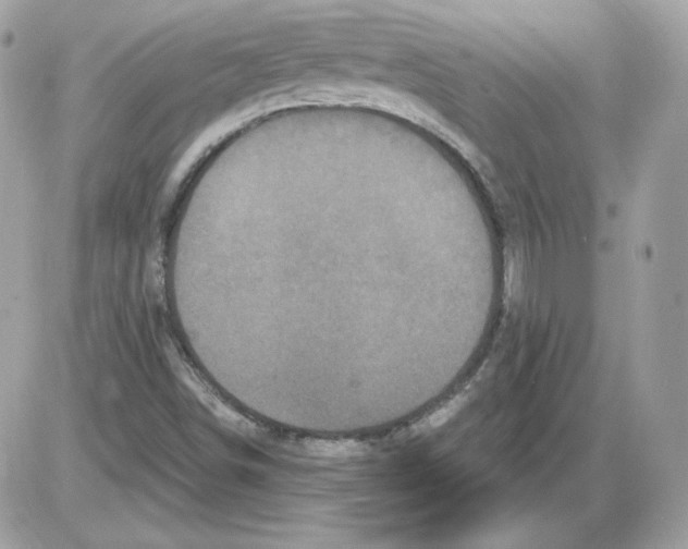 X0000085821498200704131958
