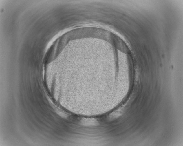 X0000085821509200704131959
