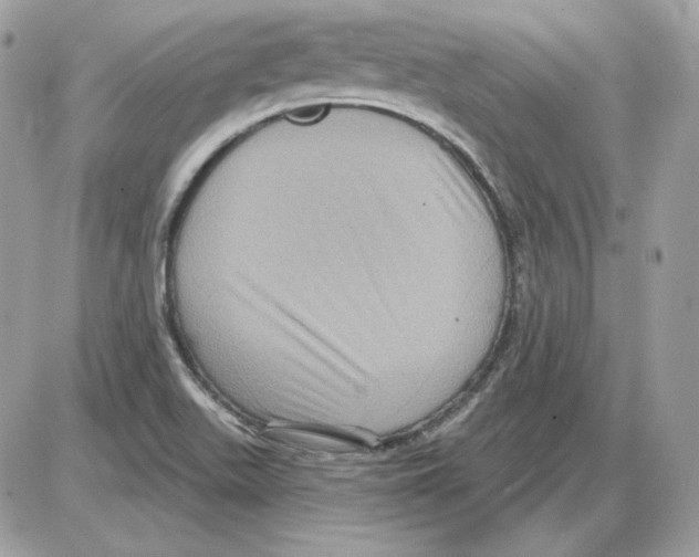X0000085821511200704131959
