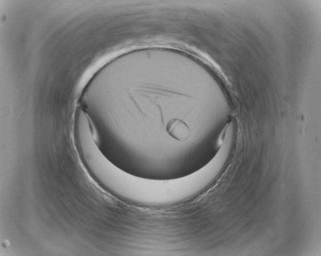 X0000085821512200704131959