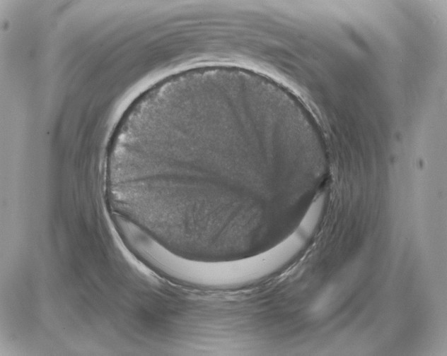 X0000085821519200704131959