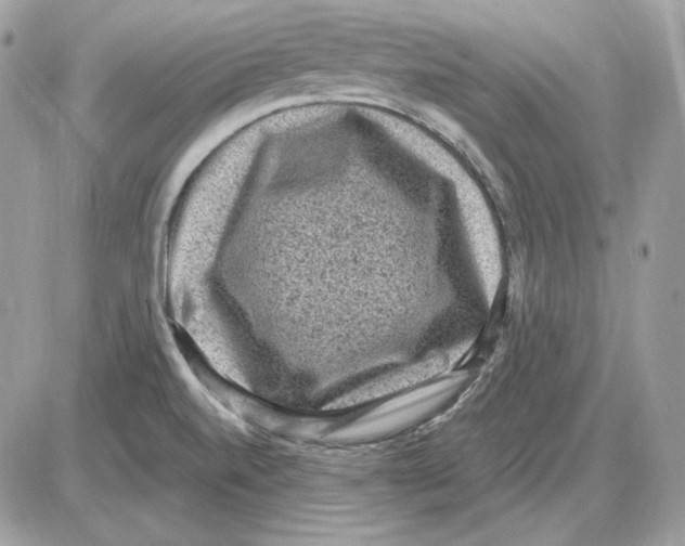 X0000085821520200704131959