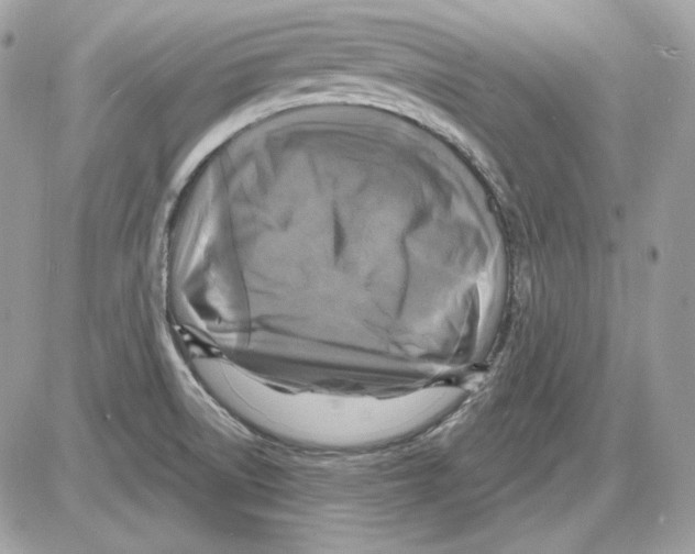 X0000085821522200704131959