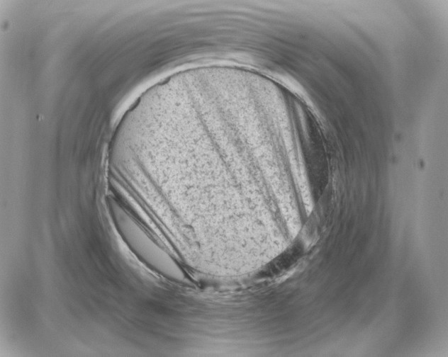 X0000085821524200704131959