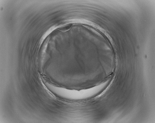 X0000085821529200704131959
