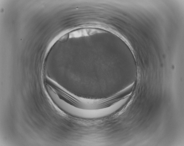 X0000085821533200704131959