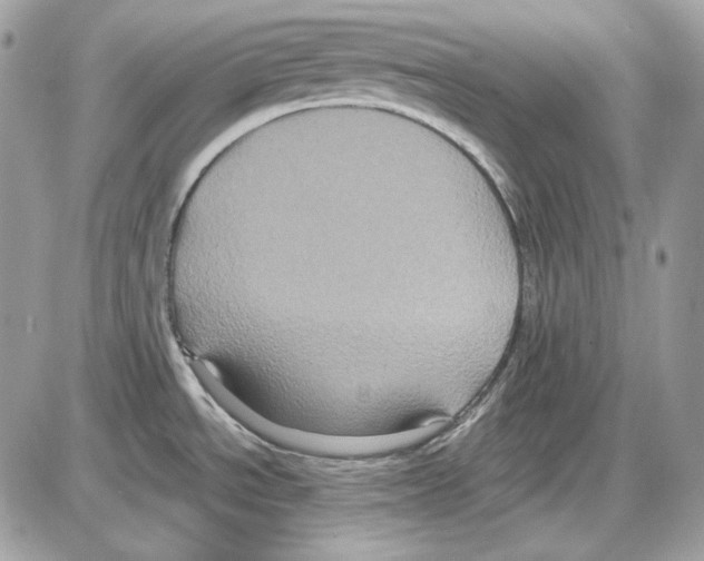 X0000085821534200704131959