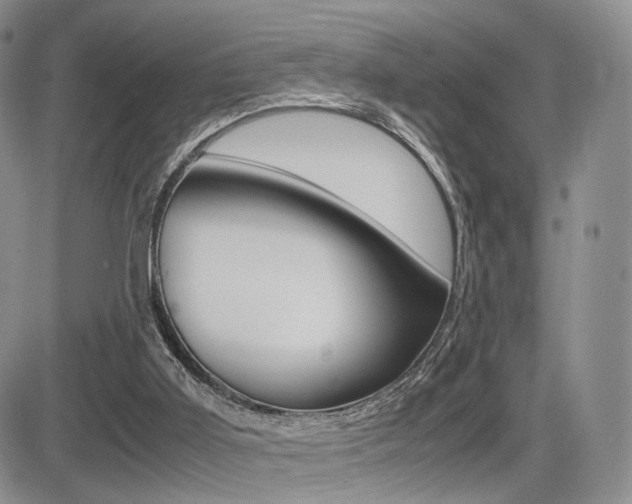 X0000085830011200703161042