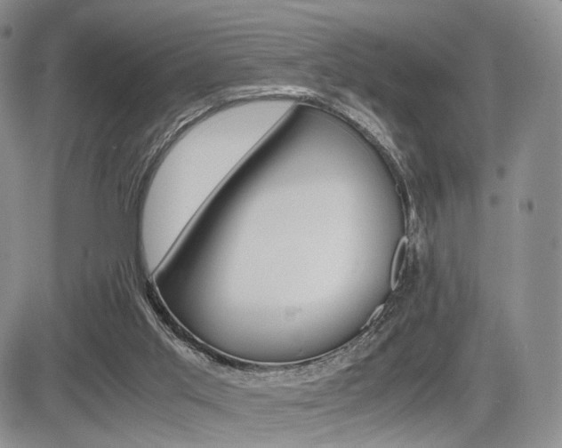 X0000085830013200703161041