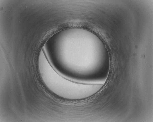 X0000085830017200703161041