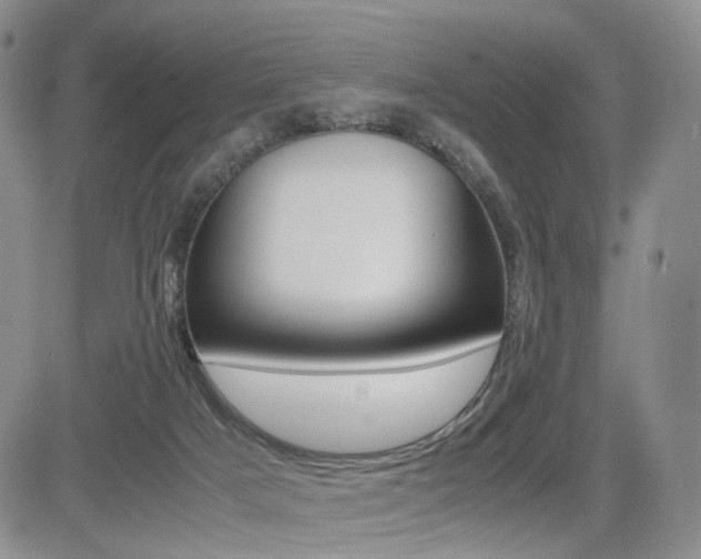 X0000085830025200703161041